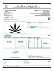 Ultra Pink CBD Hemp Flower Smalls - Plants