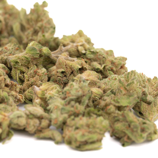 Vanilla Frosting THCa Hemp Flower Wholesale Smalls - Plants