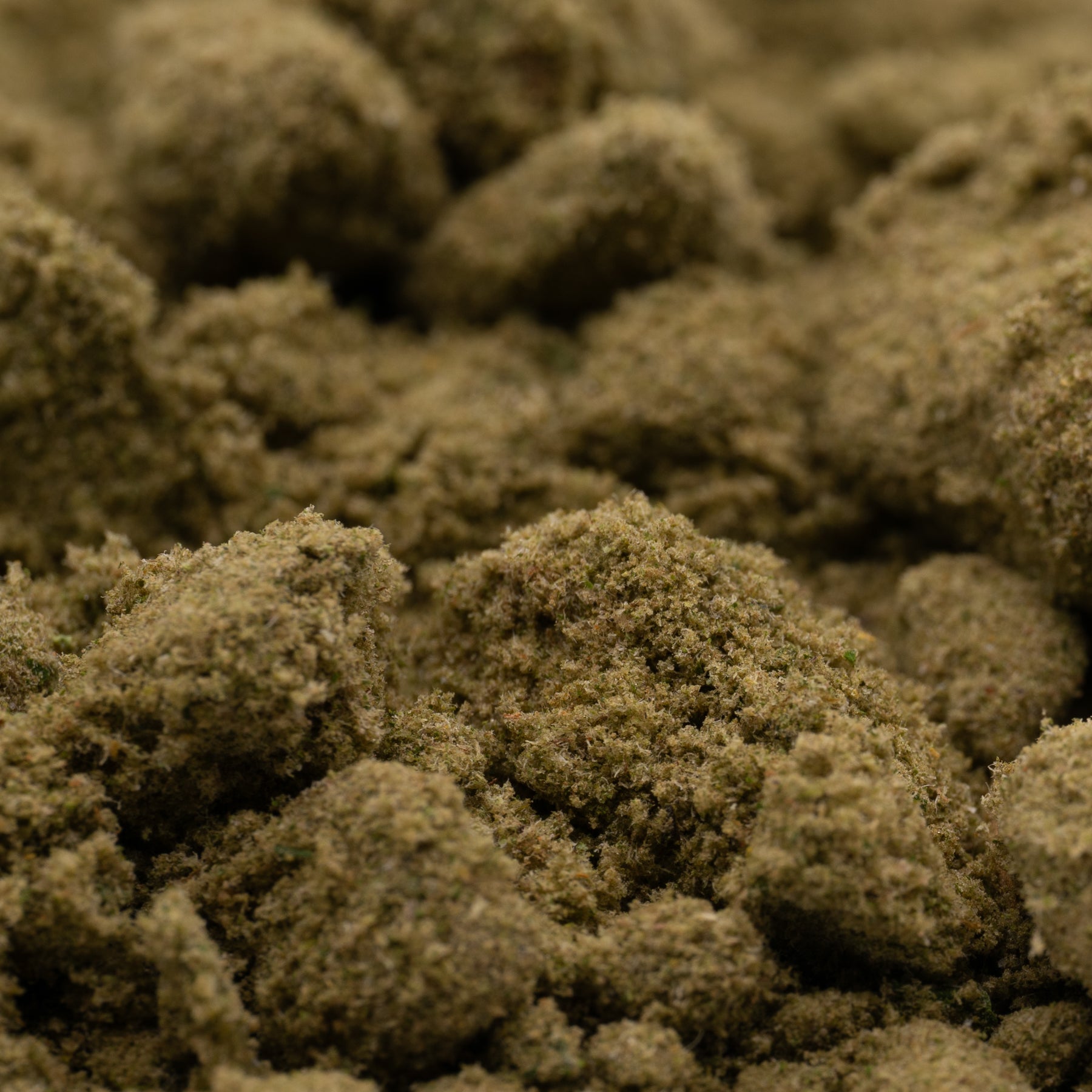 Vanilla Frosting THCa Kief - Plants