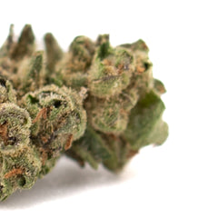 White Runtz THCa Hemp Flower Full-Term Wholesale Smalls