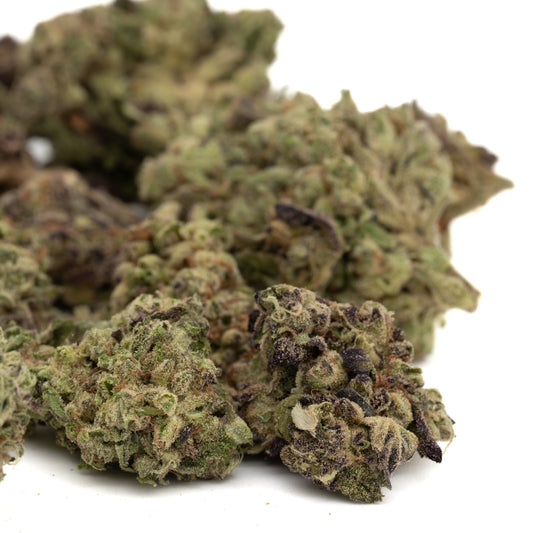 White Truffle THCa Hemp Flower Greenhouse - Plants