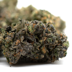 Zkittlez Indoor THCa Flower - Plants