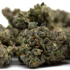 Zkittlez Indoor THCa Flower - Plants