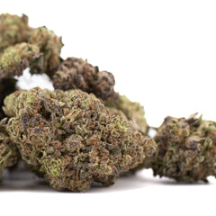 Zushi THCa Hemp Flower Greenhouse Wholesale