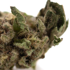 Zushi THCa Hemp Flower Greenhouse Smalls