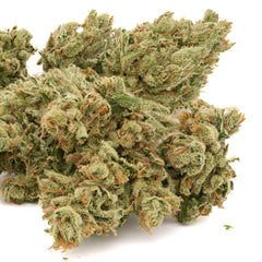 Zweet Insanity THCa Kief - Plants