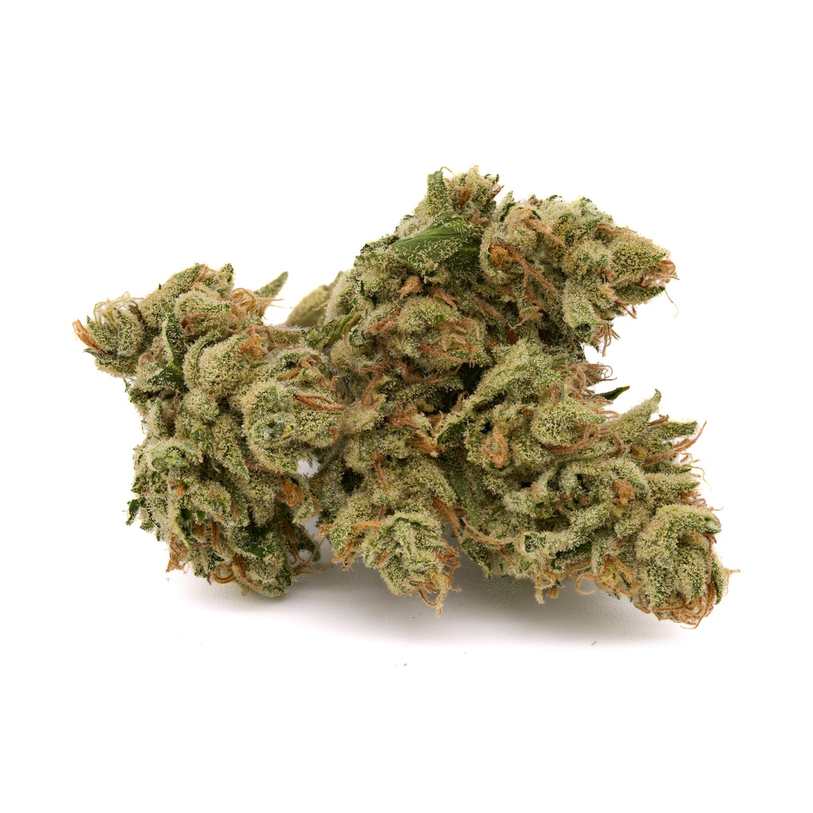 Zweet Insanity THCa Kief - Plants