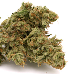 Zweet Insanity THCa Kief - Plants