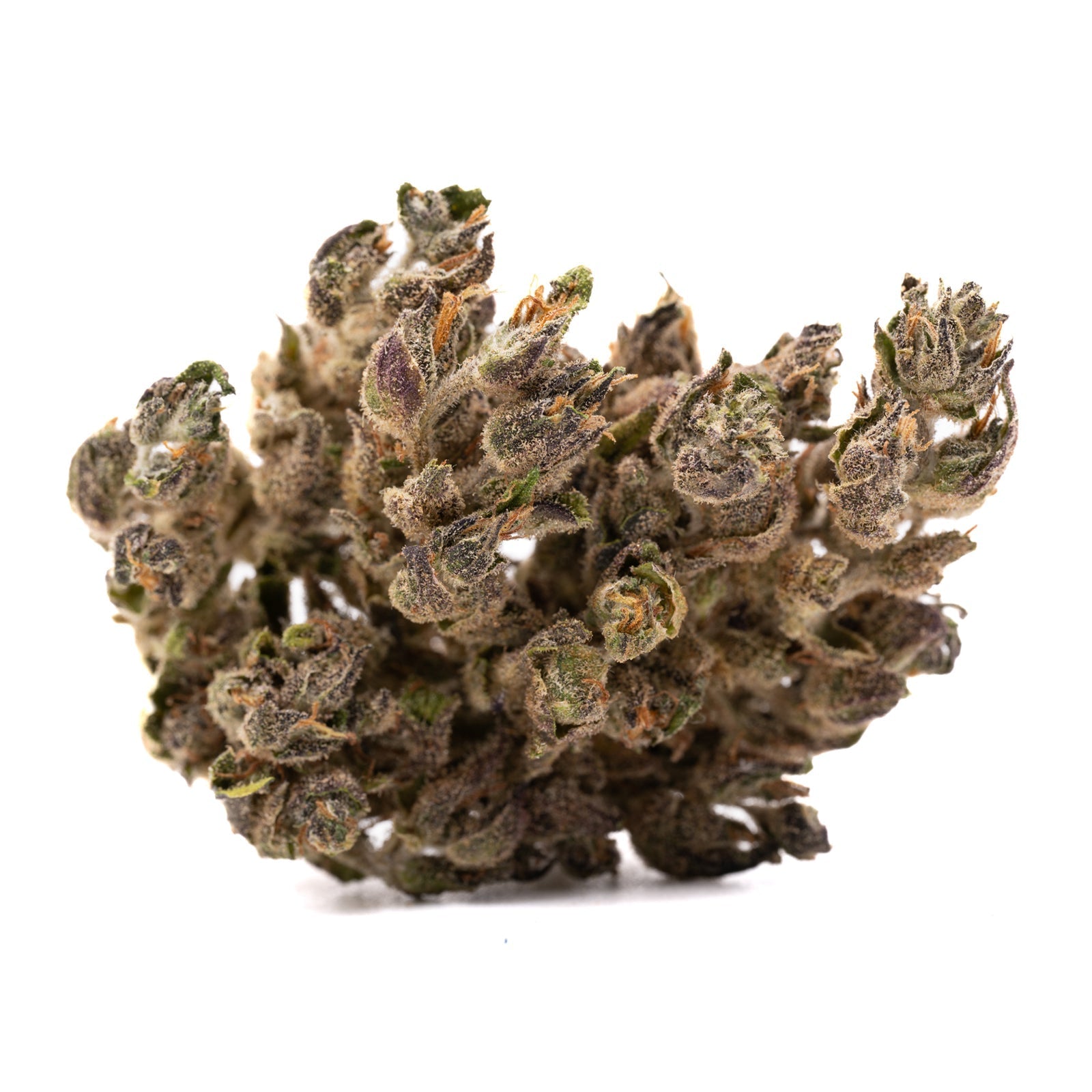 Blues CBD Hemp Flower - Plants