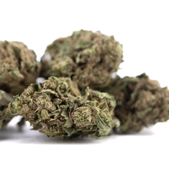 Cola THCa Flower Full-Term