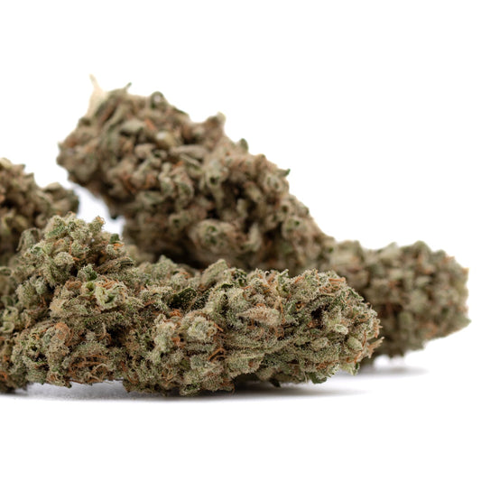 Premium Fog Dog THCa Flower Cotton Candy bud with dense trichomes