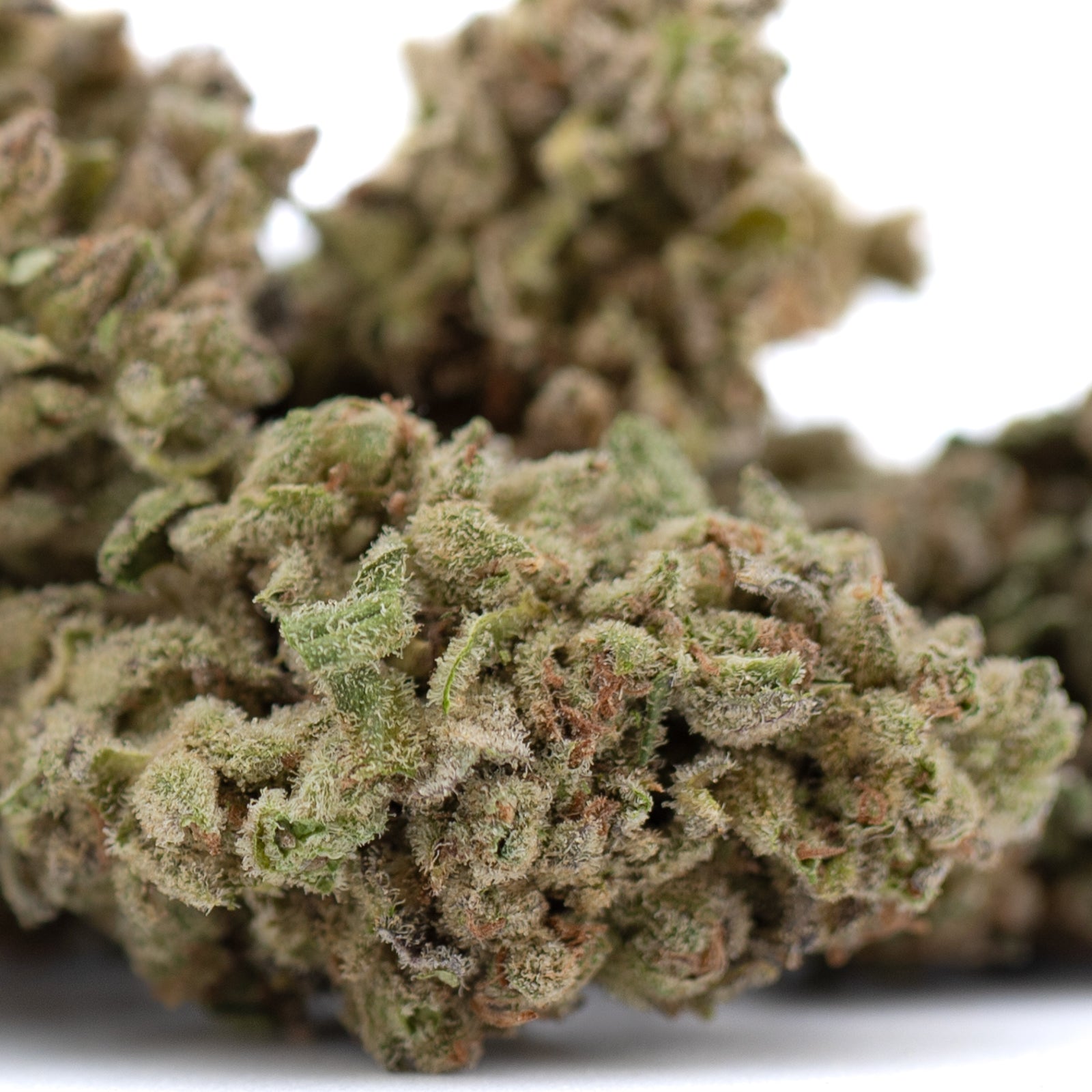 Premium Froot by the Foot THCa Flower: Dense Trichomes Hemp Bud