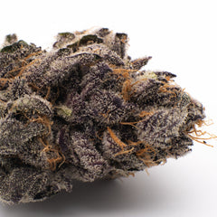 Gas Monkey Indoor THCa Flower Wholesale