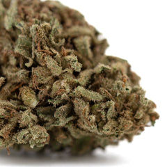 Premium Jelly Mints THCa hemp flower bud with dense trichomes