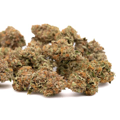 Lemon Cherry Gelato Indoor THCa Flower Wholesale - Plants