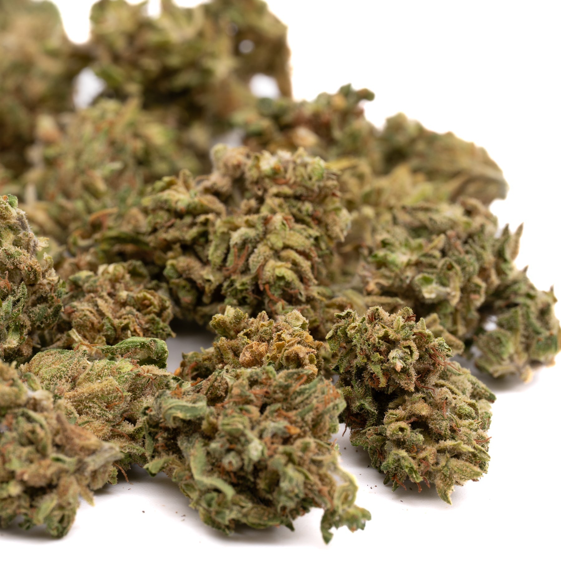 Maverick CBD Hemp Flower with green and brown hues covered in trichomes, Oregon CBD flower