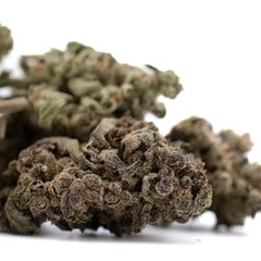 Mendo Breath THCa Flower Full-Term