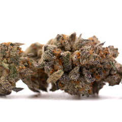 Money Ball Indoor THCa Flower with dried cannabis bud, orange hairs, and frosty trichomes