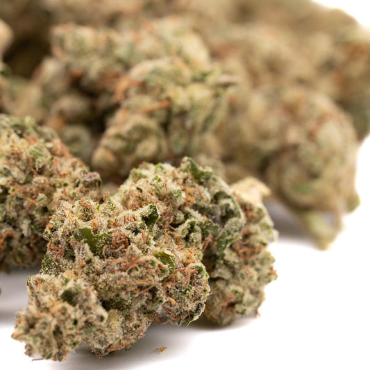 Nascar THCa Hemp Flower Greenhouse Wholesale - Plants