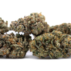 Orange Runtz Indoor THCa Flower