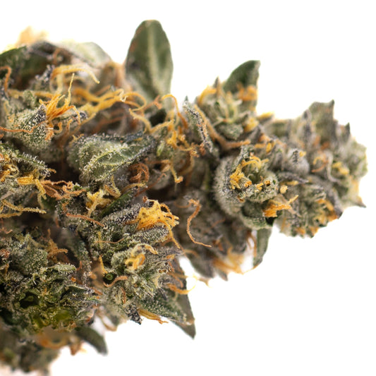 Orange Runtz Indoor THCa Flower