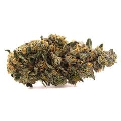 Orange Runtz Indoor THCa Flower