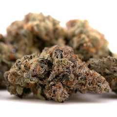 Raspberry Runtz #2 Indoor THCa Flower Wholesale - Plants