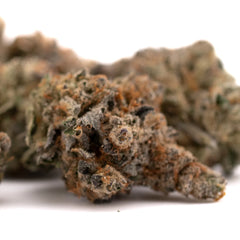 Raspberry Runtz #2 Indoor THCa Flower Wholesale - Plants