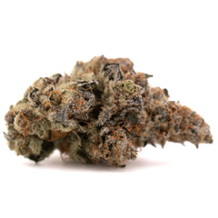 Raspberry Runtz #2 Indoor THCa Flower Wholesale - Plants