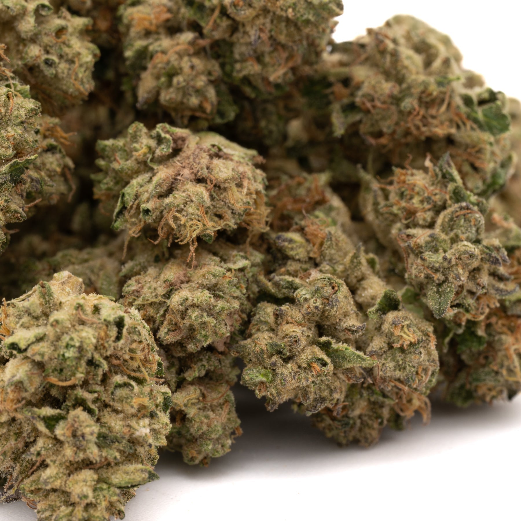 Runtz THCa Hemp Flower Greenhouse - Plants