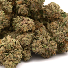 Runtz THCa Hemp Flower Greenhouse - Plants