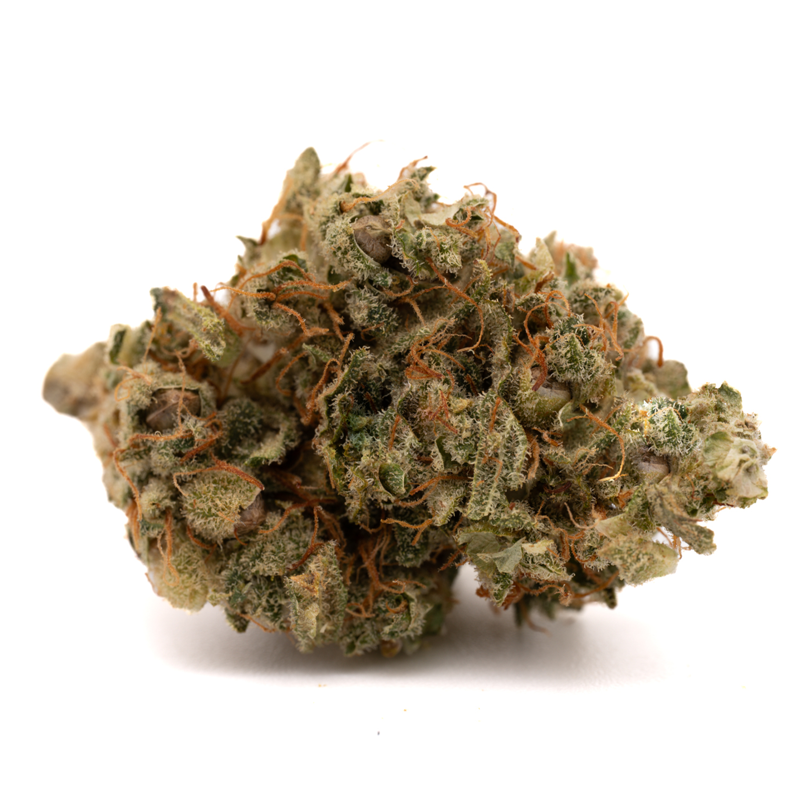 Dense Sour Brûlée CBD hemp flower full-term with resinous buds and prominent orange pistils
