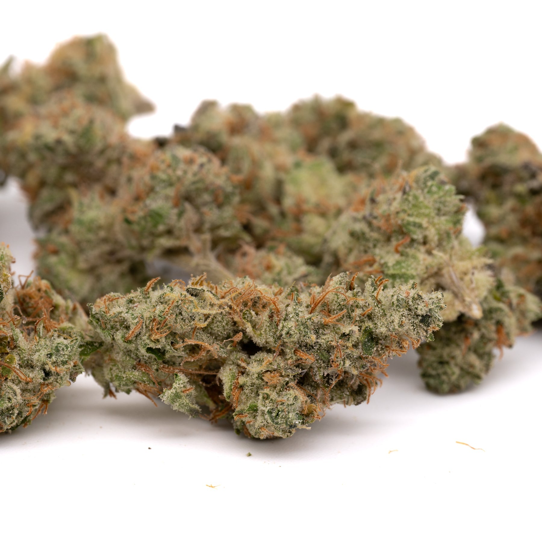 Sour Garlic THCa Hemp Flower - Plants