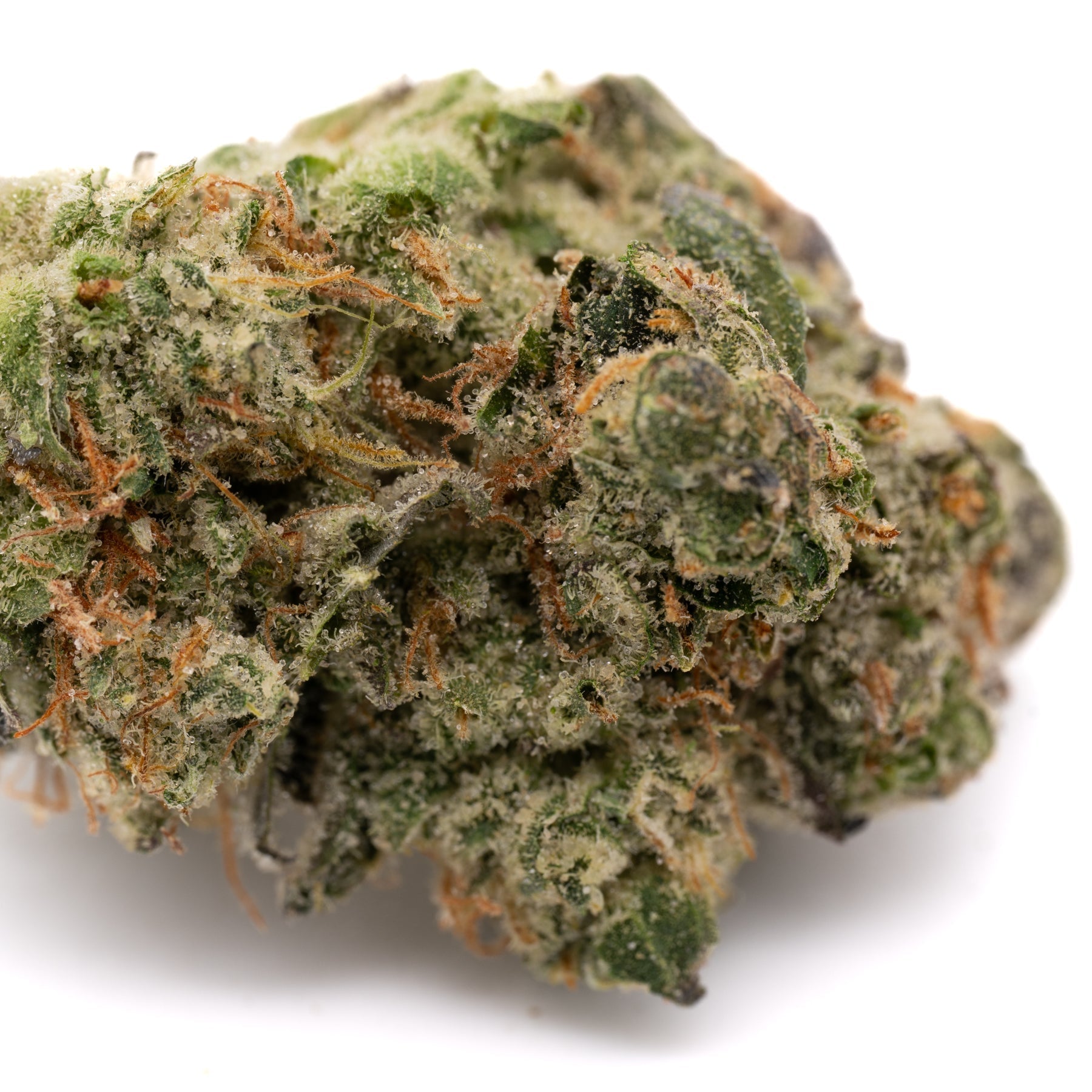 Sour Garlic THCa Hemp Flower - Plants