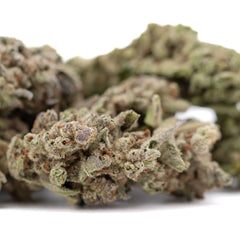 Premium Top Gun THCa Flower: Dense trichomes, earthy hemp bud wholesale