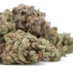 Top Gun THCa Flower Full-Term