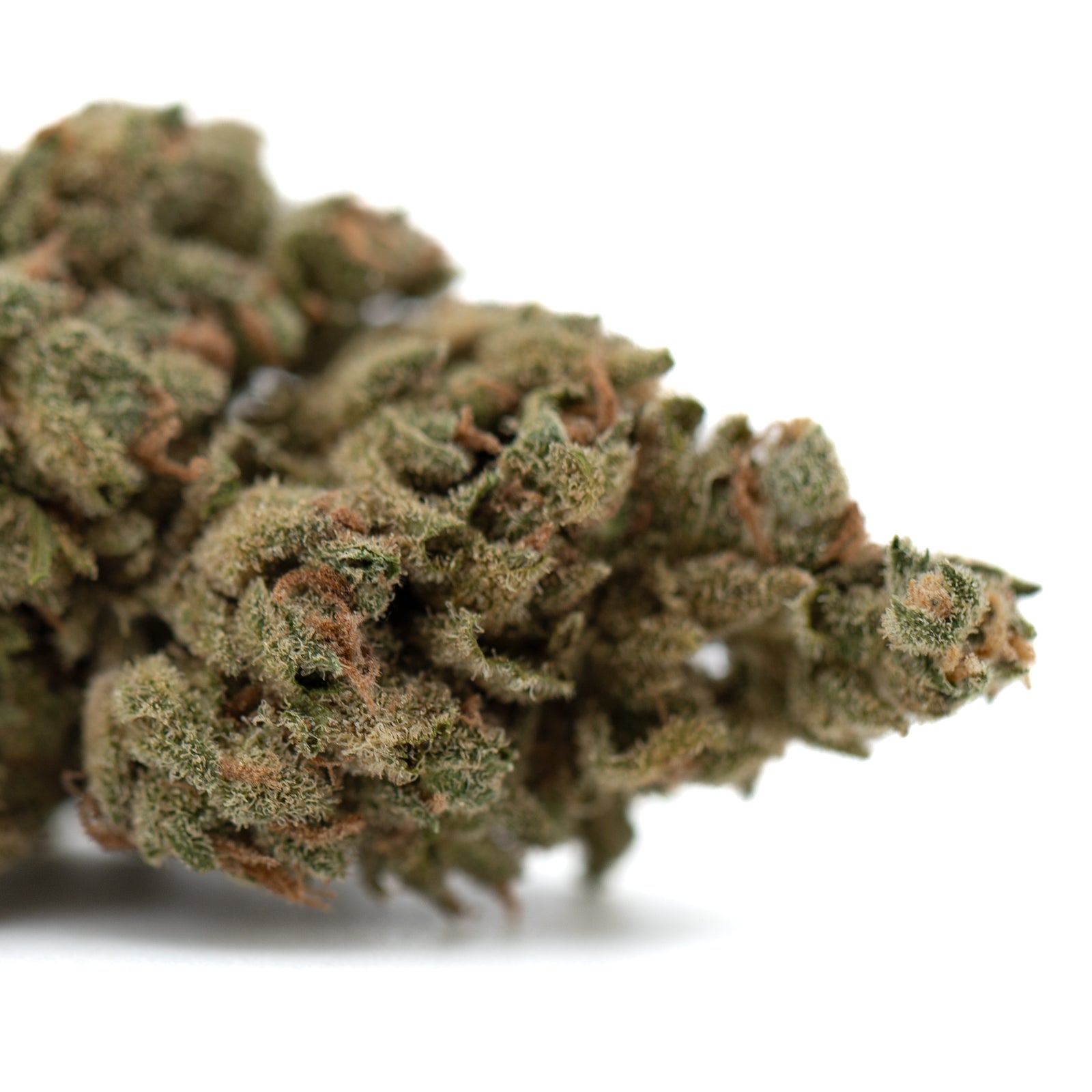 Premium TriCross THCa Flower with exotic three-way genetics