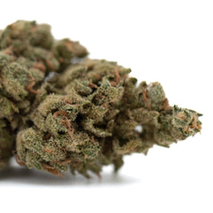 Premium TriCross THCa Flower with exotic three-way genetics