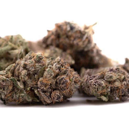 Tropical Paradise Indoor THCa Flower - Plants