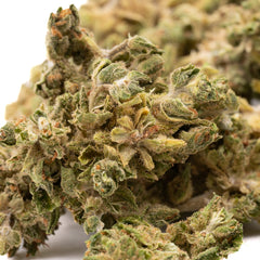Tune CBD Hemp Flower - Plants