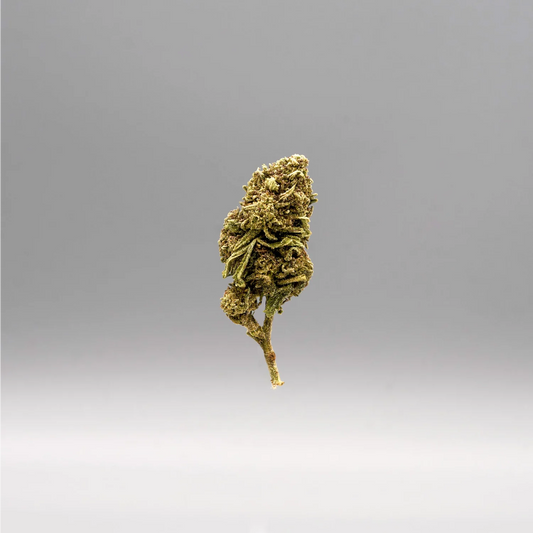 Hemp Store