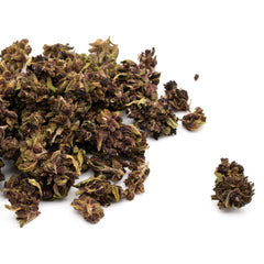 Dried dark purple-brown oolong tea leaves alongside Gorilla Glue CBD flower small nugs