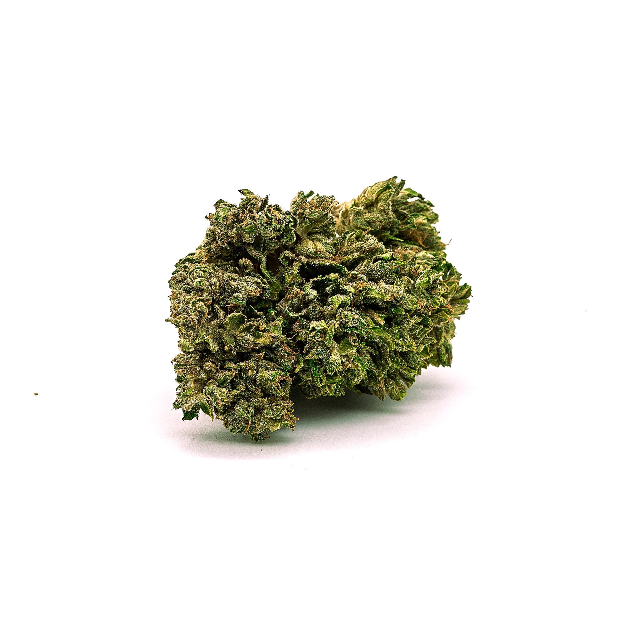 Dense green Silver Haze CBG flower bud showcasing premium quality and potency
