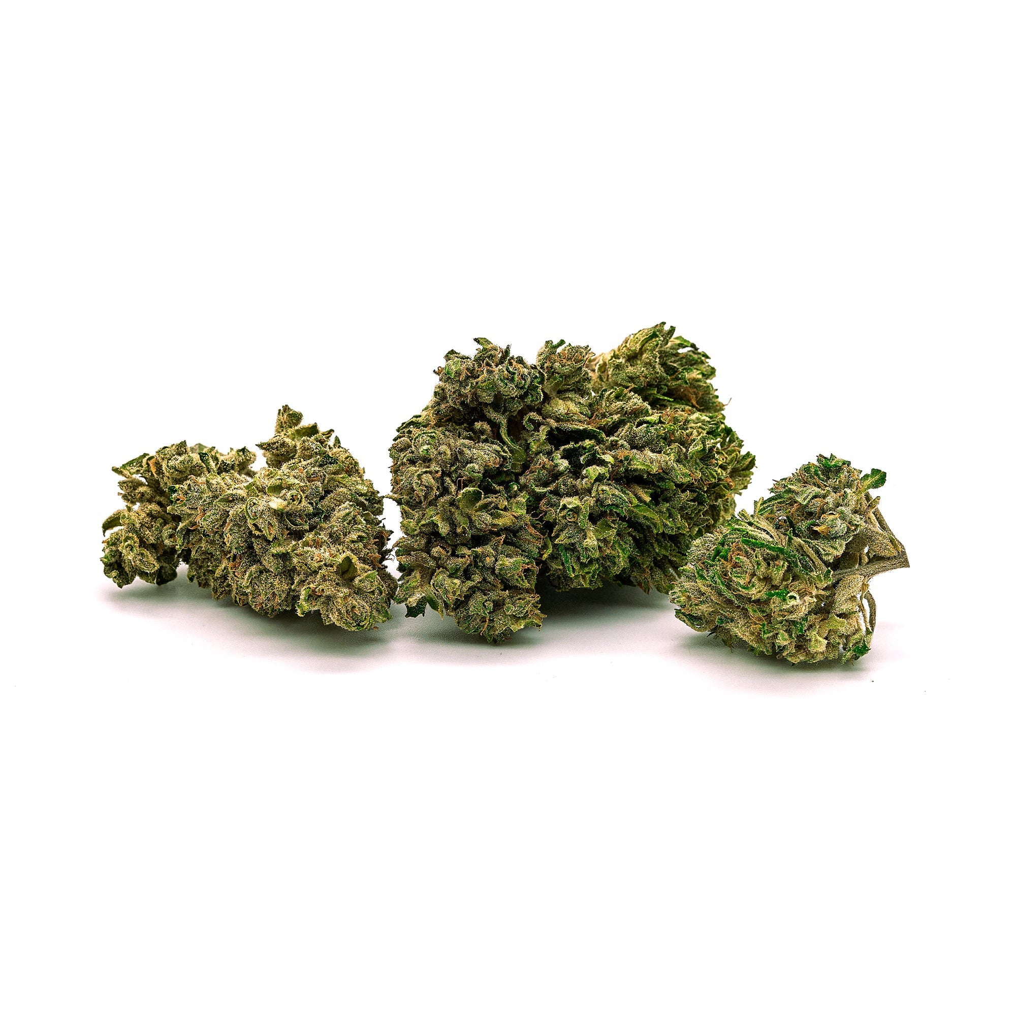 Dried Silver Haze CBG Flower showcasing dense green clusters and visible trichomes