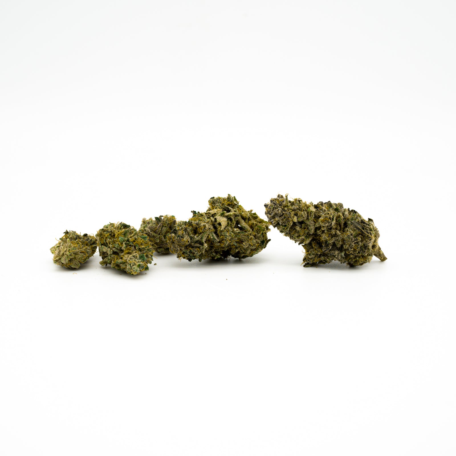 Dried Gas Monkey 21% THCA Flower buds arranged in a row, an indica-dominant hybrid