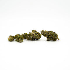 Dried Gas Monkey 21% THCA Flower buds arranged in a row, an indica-dominant hybrid