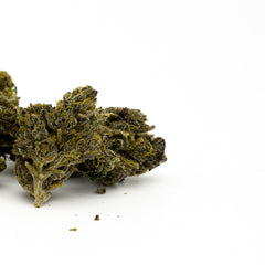 Dense, dark green JokerZ THCA flower showcasing trichomes and orange pistils
