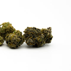 Dense Obama Kush THCA flower buds covered in crystalline trichomes for cerebral stimulation