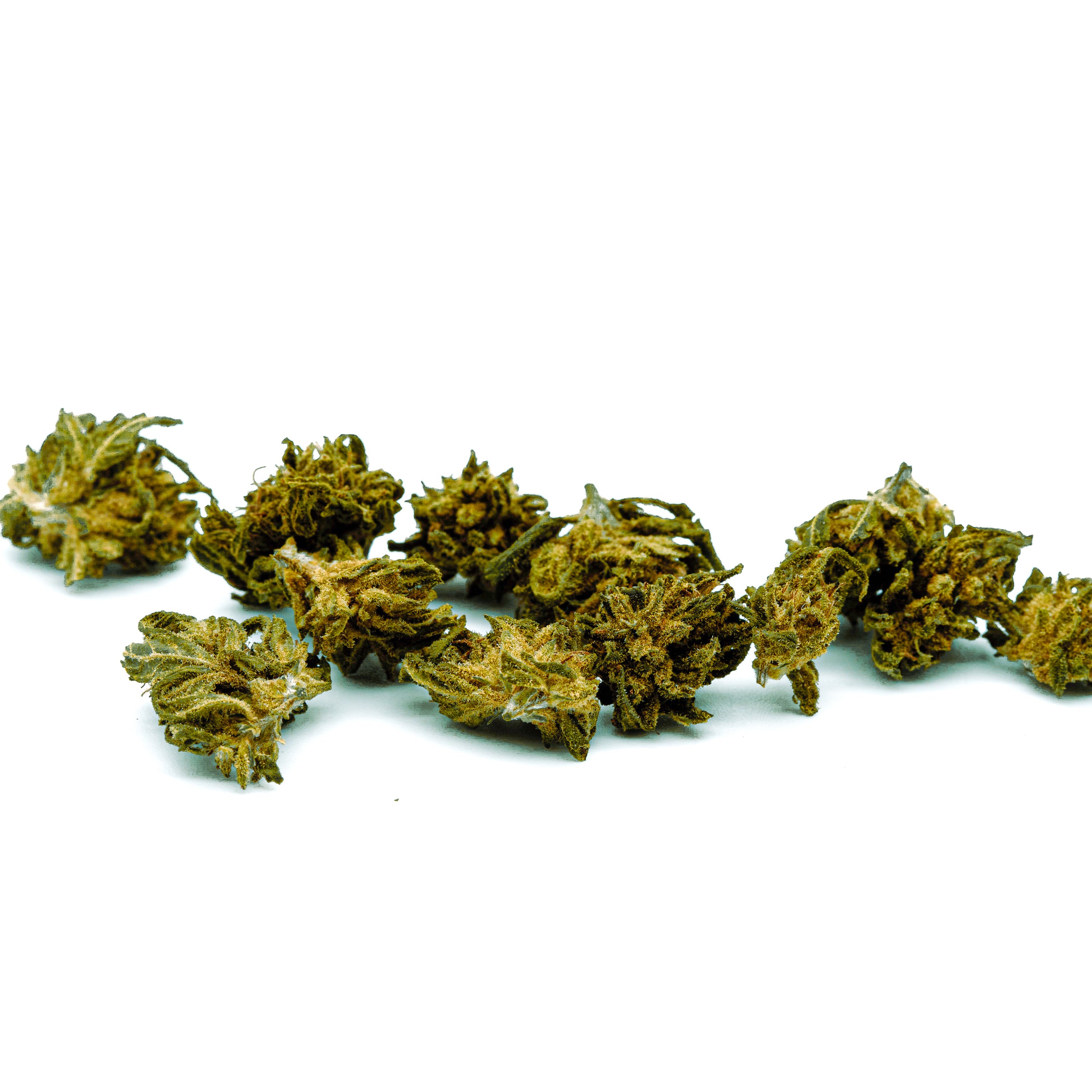 Dried cannabis buds of Frosted Lime Hemp Flower arranged in a row for wholesale
