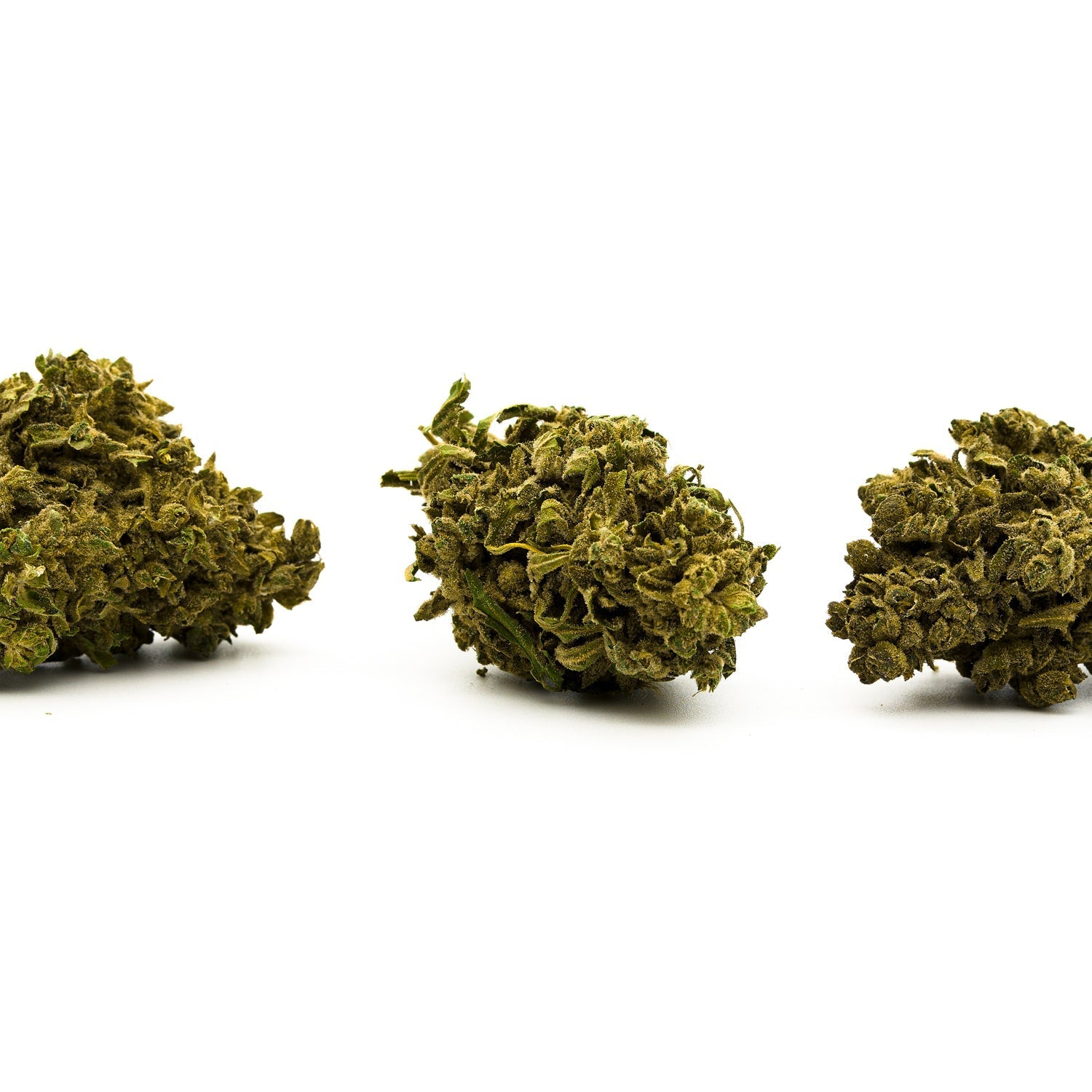 Three dried cannabis buds of Sauerkraut THCA Flower showcasing uplifting effects